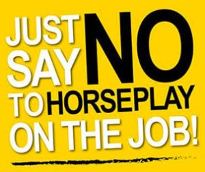 No Horseplay Sign