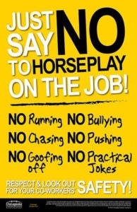 no horseplay sign